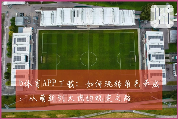 b体育APP下载：如何玩转角色养成，从萌新到大佬的蜕变之路