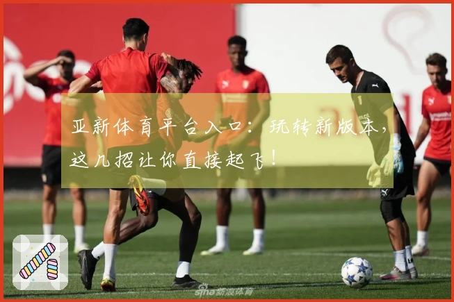 亚新体育平台入口：玩转新版本，这几招让你直接起飞！